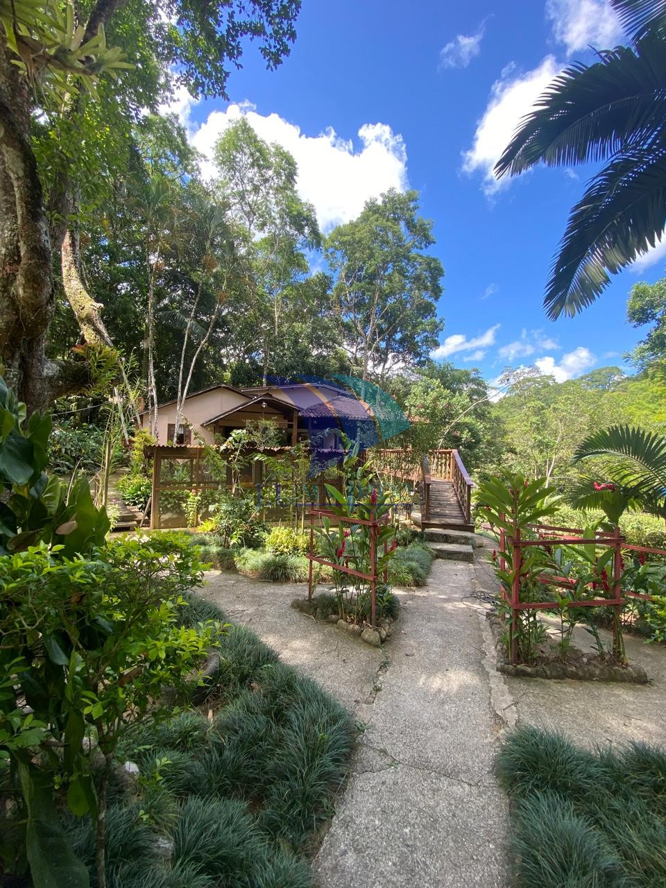 Casa à venda com 4 quartos, 240m² - Foto 15