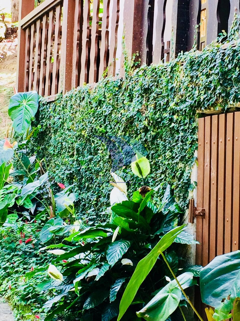 Casa à venda com 4 quartos, 240m² - Foto 8